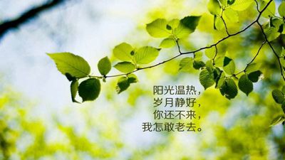 富有人生哲理的50句英語名言