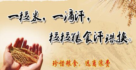節約糧食反對浪費名言句子