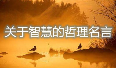 關于智慧的哲理名言