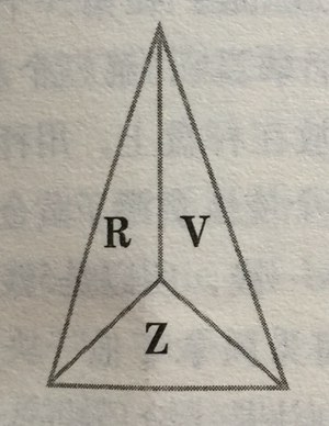 字母與三角形答案