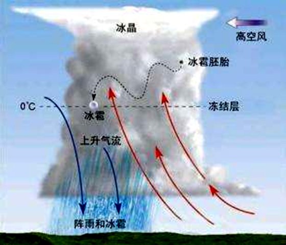 為什么夏天會(huì)下冰雹,冰雹產(chǎn)生原因及預(yù)防措施