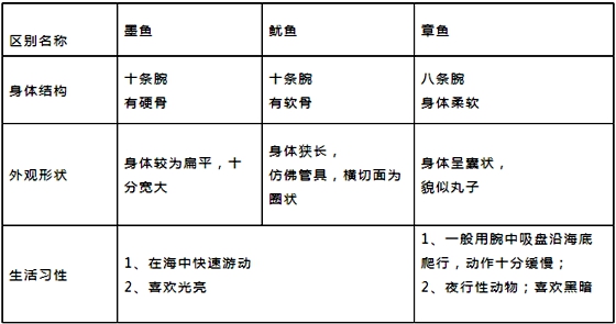 章魚真的沒有身子嗎,章魚的身體結(jié)構(gòu)