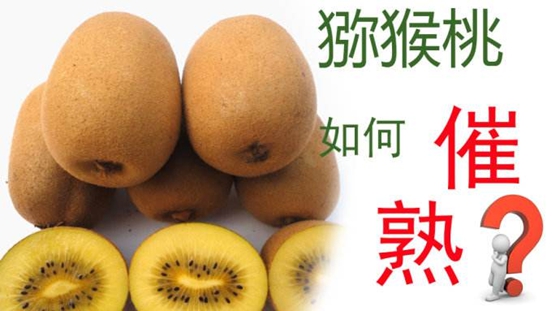 為什么說(shuō)獼猴桃是水果之王