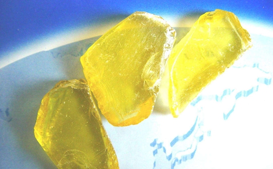 為什么松樹會(huì)產(chǎn)生松脂