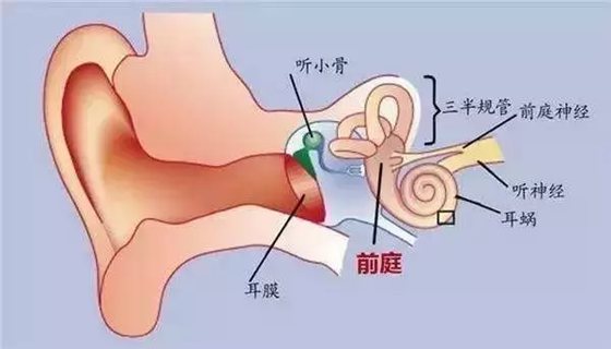 為什么有的人暈車有的人卻不暈,暈車怎么辦
