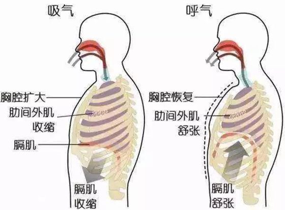 人為什么會(huì)岔氣,岔氣了怎么辦