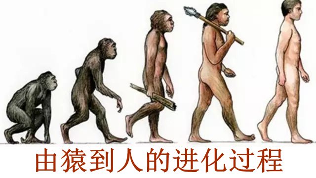 人的大拇指為什么只有兩節(jié),拇指怎么只有兩個關(guān)節(jié)