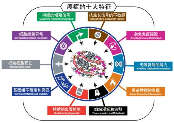 為什么癌癥治不好,為何癌癥不能治愈