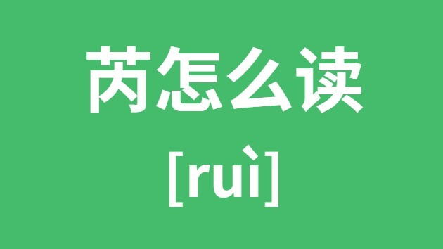 芮怎么讀