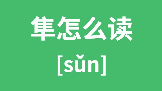 隼怎么讀