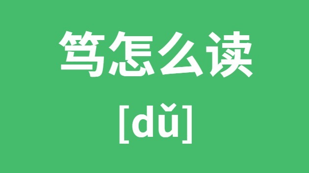 篤怎么讀