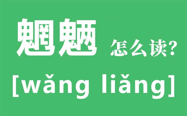 魍魎怎么讀,魍魎是什么意思,魑魅魍魎是哪四種妖怪