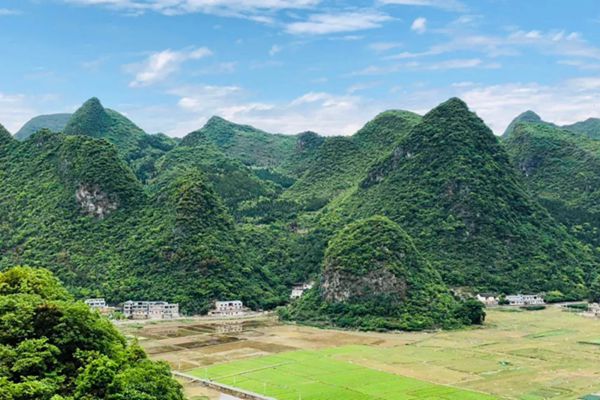 萬林峰