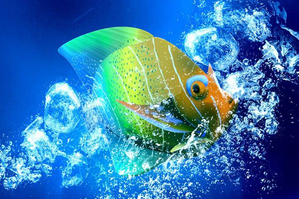 魚(yú)為什么睜著眼睛睡覺(jué),魚(yú)是怎么睡覺(jué)的