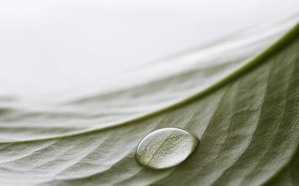 觀察水的表面