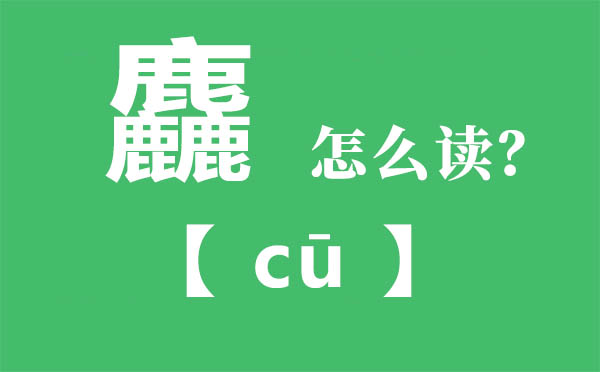 麤怎么讀,三個鹿念什么,麤的拼音,麤字是什么意思
