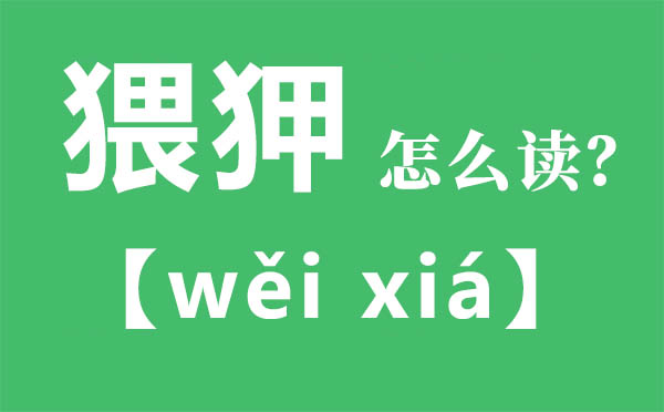 猥狎怎么讀,猥狎念什么,猥狎的拼音,猥狎是什么