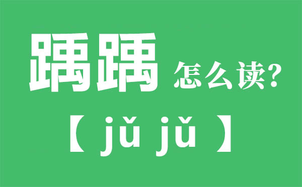 踽踽怎么讀,踽踽的拼音,踽踽是什么意思