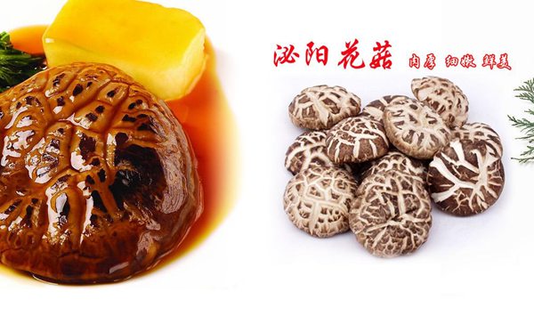 泌陽的泌怎么讀,泌陽旅游攻略,泌陽特產