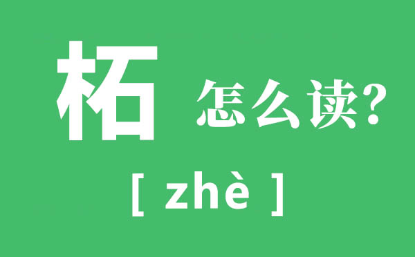 柘城怎么讀,柘的拼音,柘的意思是什么