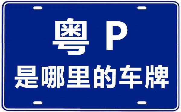 粵P是哪里的車牌號,河源的車牌號是粵什么