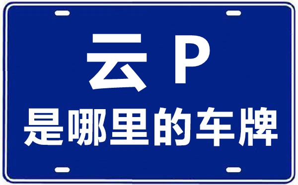 云P是哪里的車牌號,麗江的車牌號是云什么
