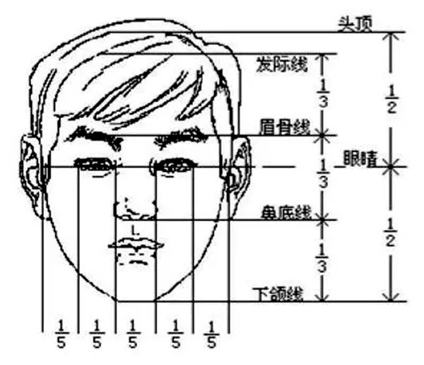 發際線為什么會后移,發際線后移該怎么辦
