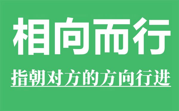 相向而行是什么意思,相向而行的反義詞是什么