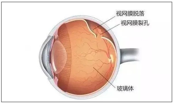 螞蟻莊園小課堂今天的答案是什么