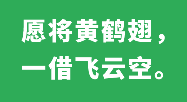 愿將黃鶴翅，一借飛云空的意思是什么,出處、解釋,黃鶴是什么鶴