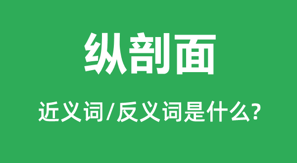 縱剖面的近義詞和反義詞是什么,縱剖面是什么意思