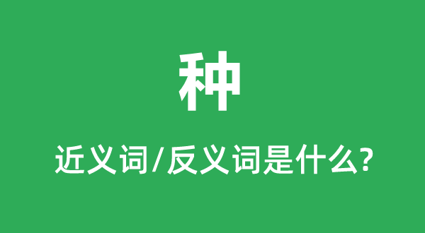 種的近義詞和反義詞是什么,種是什么意思