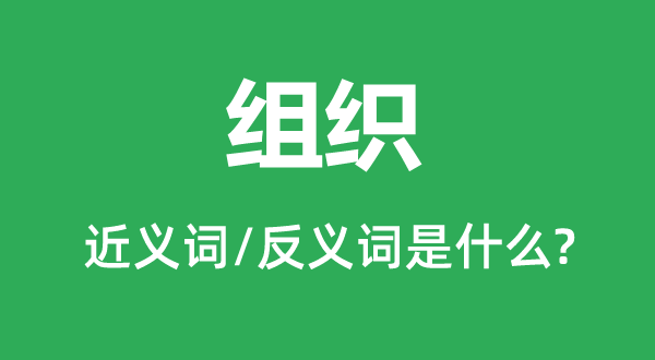 組織的近義詞和反義詞是什么,組織是什么意思