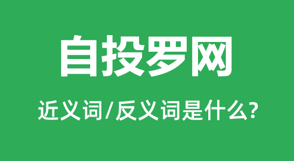 自投羅網的近義詞和反義詞是什么,自投羅網是什么意思