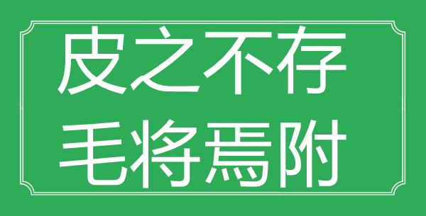 “皮之不存，毛將焉附”的意思出處及全文賞析