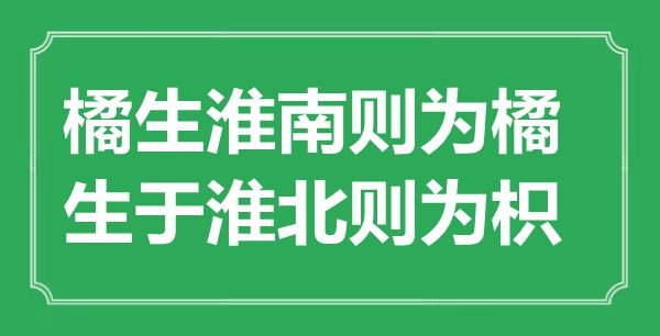 “橘生淮南則為橘，生于淮北則為枳”的意思出處及全文賞析
