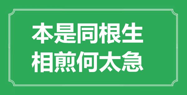 “本是同根生，相煎何太急”的意思是什么,出處是哪首詩