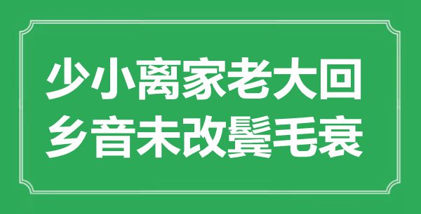 “少小離家老大回，鄉音未改鬢毛衰”的意思是什么,出處是哪首詩
