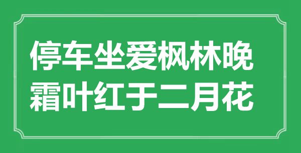 “停車坐愛楓林晚，霜葉紅于二月花”是什么意思,出處是哪里