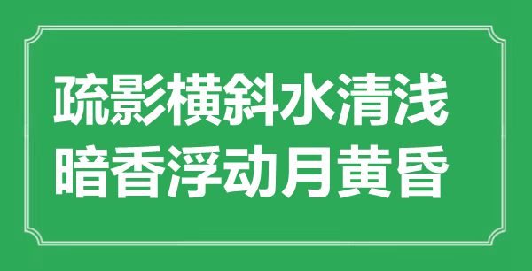 “疏影橫斜水清淺，暗香浮動月黃昏”是什么意思,出處是哪里