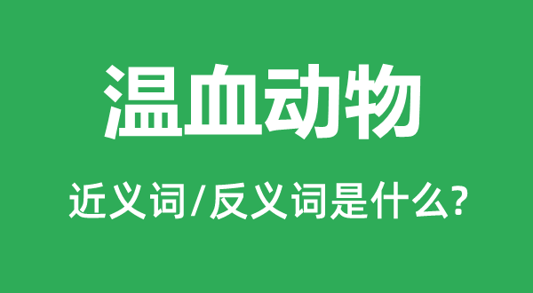 溫血動物的近義詞和反義詞是什么,溫血動物是什么意思