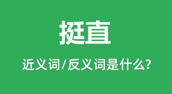 挺直的近義詞和反義詞是什么,挺直是什么意思