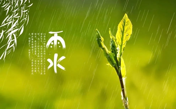 雨水節氣的含義是什么,雨水節氣的特點和風俗簡介