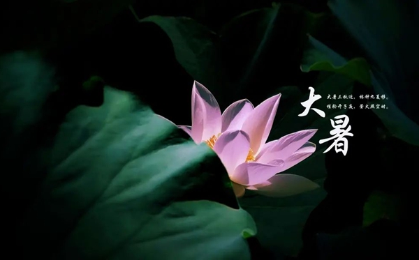 大暑節(jié)氣的含義是什么,大暑節(jié)氣的特點(diǎn)和風(fēng)俗簡(jiǎn)介