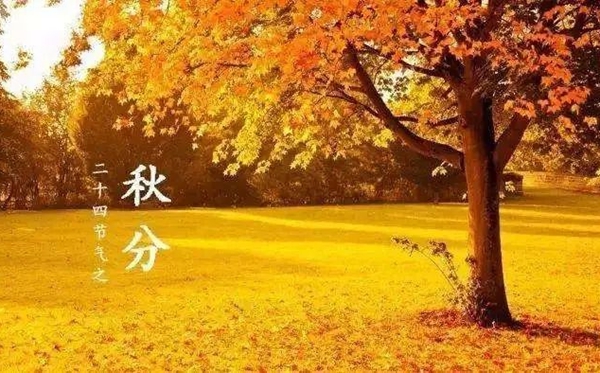 秋分節(jié)氣的含義是什么,秋分節(jié)氣的特點和風俗簡介