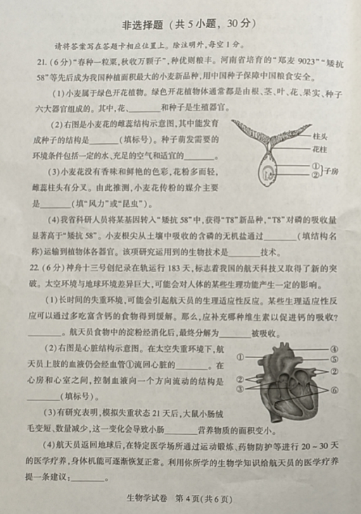 2023年鄭州中考生物試卷真題及答案