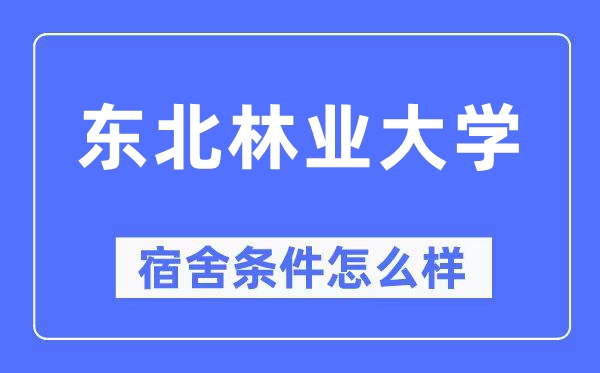 東北林業大學宿舍條件怎么樣,有空調和獨立衛生間嗎？（附宿舍圖片）