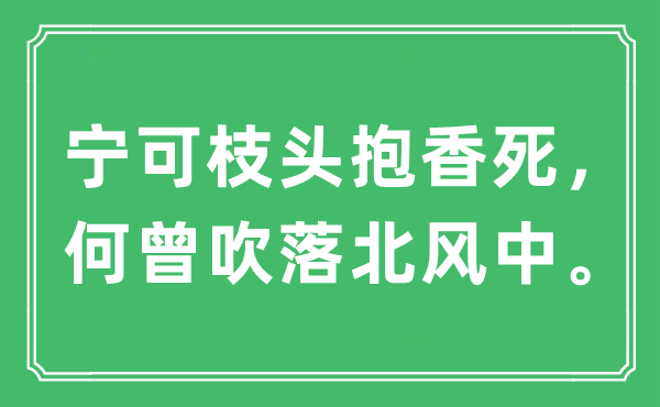 “寧可枝頭抱香死，何曾吹落北風(fēng)中。”是什么意思,出處及原文翻譯