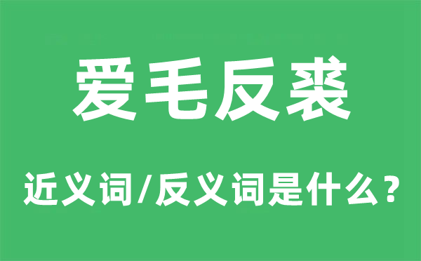 愛毛反裘的近義詞和反義詞是什么,愛毛反裘是什么意思