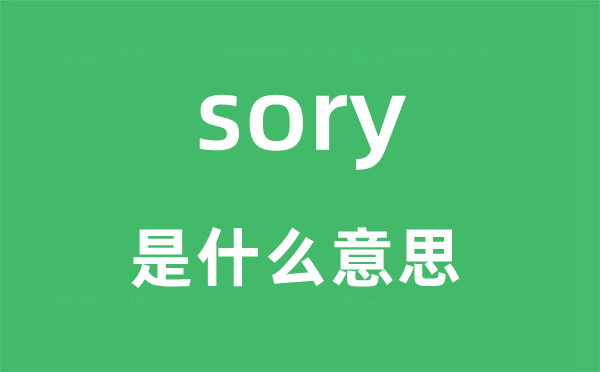 sory是什么意思,sory怎么讀,中文翻譯是什么